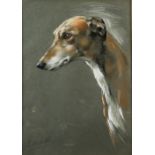 J. Hallett, English School, 20th century, head and shoulders portrait of a greyhound, signed,