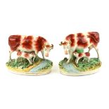 A pair of 19th century Staffordshire models of cows and calves, each 23 cm wide.