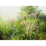 Mary Dipnall (1936) , Lesser Centaury and Buttercups signed, oil painting, 29cm x 39cm.