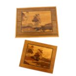 Two early 20th C marquetry pictures, lakeside scene with trees, worked in various woods, larger 36 x