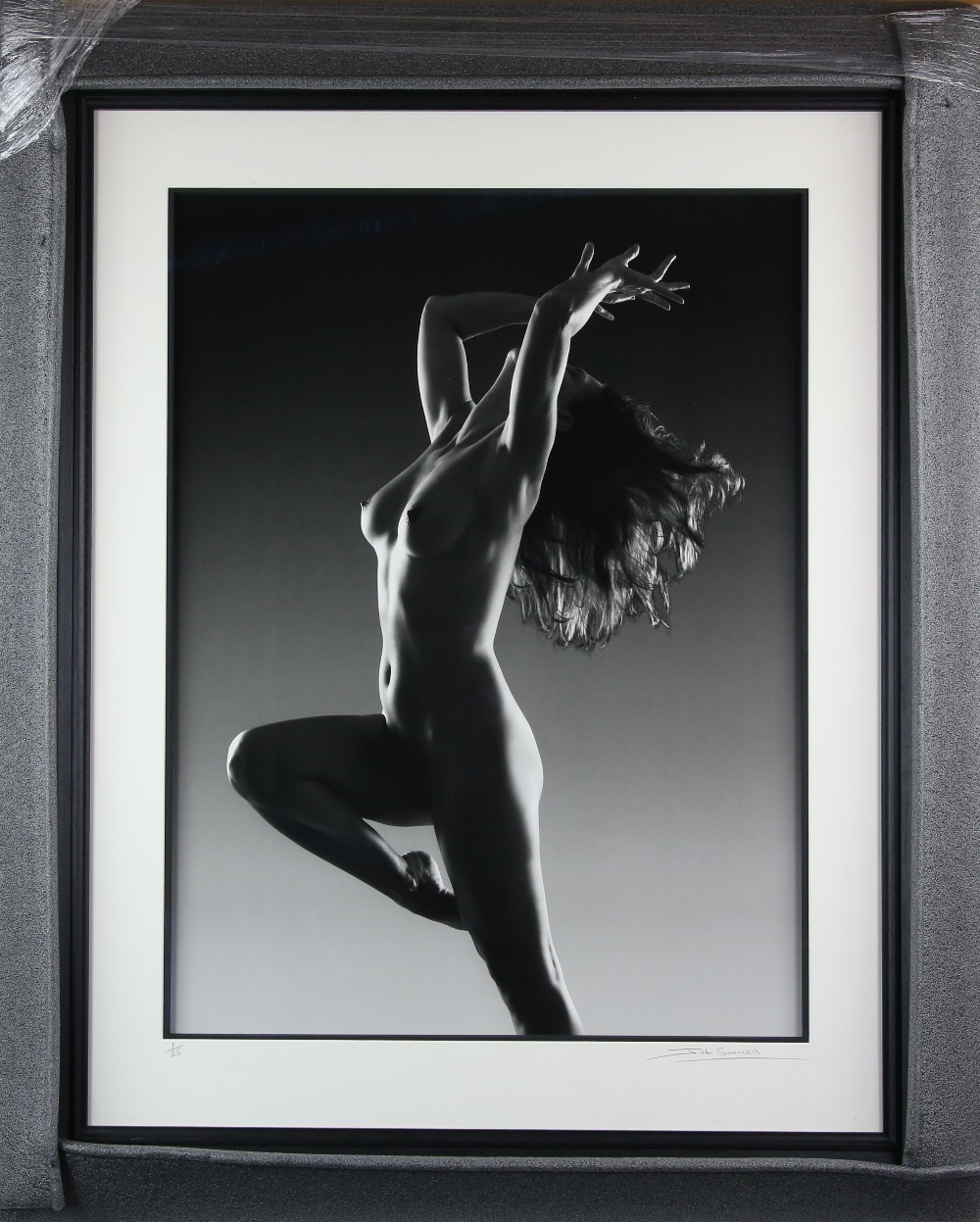 John Swannell (1946) 'Shell Series No.8 2010' limited edition 1\25 signed and numbered on mount, - Image 2 of 3