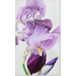 Bardoulat, Annie (b.1962), Iris VI and Violets, oil on canvas, signed and dated October '99 verso,