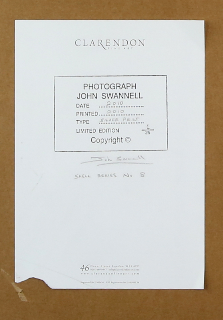 John Swannell (1946) 'Shell Series No.8 2010' limited edition 1\25 signed and numbered on mount, - Image 3 of 3