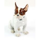 Meissen model of a sitting French bulldog with pricked up ears, underglaze blue crossed swords mark,