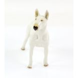 Nymphenburg model of a Bull Terrier, standing alert on all fours with ears pricked, 17.5cm high,.