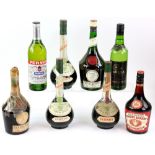 Mixed lot of 15 bottles spirits and wine to include one bottle of Martini Vermouth, two bottles of