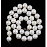 String of large South Sea pearls, pearl size 10.4 to 11.7 mm, length of necklace 45 cm to a white