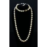 Cultured pearl necklace, cream coloured pearls, 7mm in diameter strung with knots, oval clasp