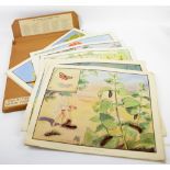 Enid Blyton Nature Plates. A cardboard slipcase of Educational Classroom colour plates after