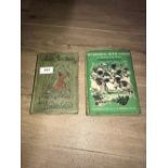 2X VINTAGE BOOKS ILLUSTRATED BY CF TUNNICLIFFE AND JOHN TENNIEL