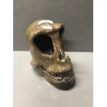 STUDIO POTTERY GORILLA SKULL