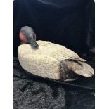 20TH CENTURY CANVAS BACK CARVED WOOD DECOY