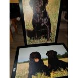 2 MODERN DOG PRINTS