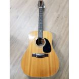 ACOUSTIC ANGELICA GUITAR