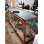 LARGE REPTILE TANK 70INCHES LONG BY 25INCHES HIGH