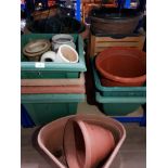 SUBSTANTIAL AMOUNT OF GARDEN PLANT POTS