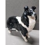 BESWICK BLACK AND WHITE COLLIE DOG