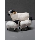 BESWICK RAM AND 2 SHEEP