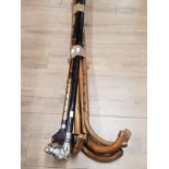 BUNDLE OF WALKING STICKS AND SHEPHERDS CROOKS