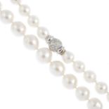 A cultured pearl single-strand necklace.