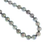 A cultured pearl single-strand necklace.