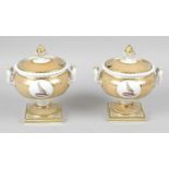 A pair of Flight Barr and Barr small pedestal twin handled tureens and covers,