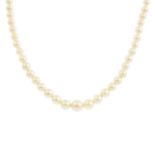 A graduated cultured pearl single strand, clasp deficient.Cultured pearl diameter 8.3 to 4.1mms.