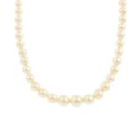 A graduated cultured pearl single strand, clasp deficient.Cultured pearl diameter 8 to 4mms.