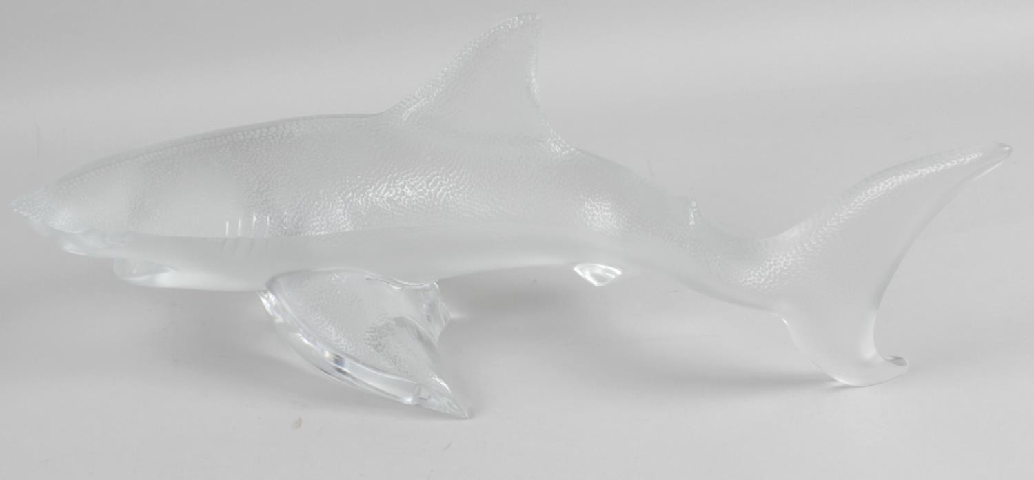 A Lalique clear and frosted glass shark, engraved to base Lalique France, 18 (45.75cm) long.