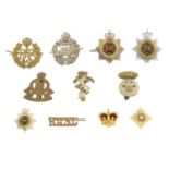A large selection of assorted military cap badges,