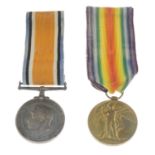 Great War Pair, British War Medal 1914-20, Victory Medal, named to '202069 Pte.