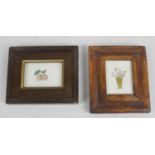 Four small framed and glazed watercolours, each depicting a study of flowers, leaves, or fruit.
