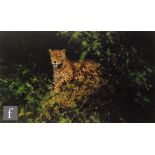 DAVID SHEPHERD,OBE (1931-2017) - 'Jaguar', photographic reproduction,