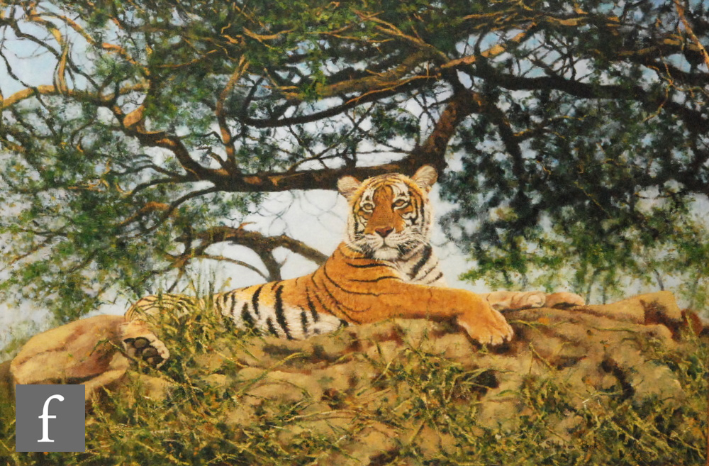 STEPHEN PARK (CONTEMPORARY) - Resting Tiger, acrylic on canvas, signed, framed,