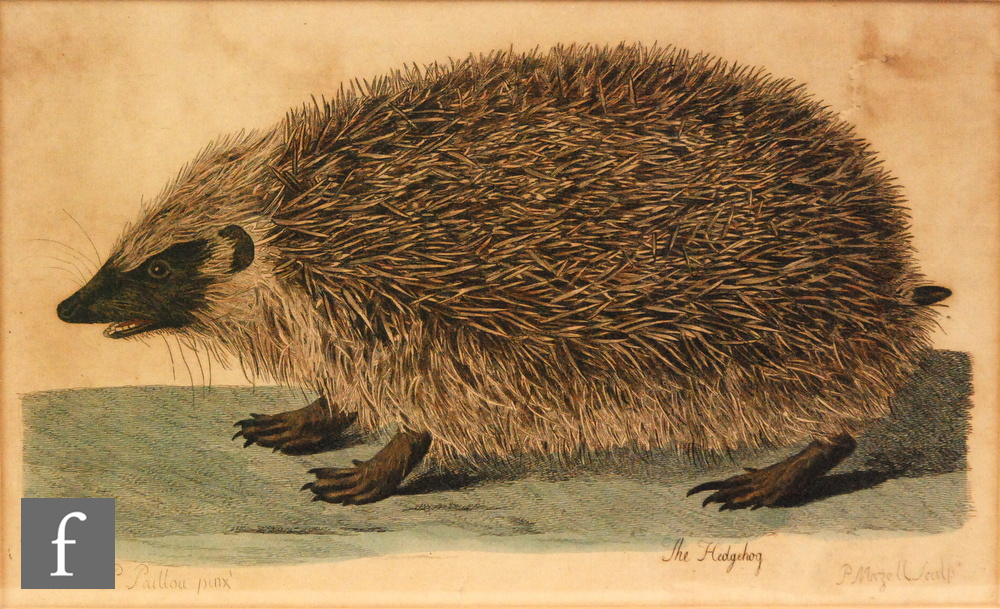 P MAZELL AFTER PETER PAILLOU - The Hedgehog, hand coloured etching, published c1761-1766,