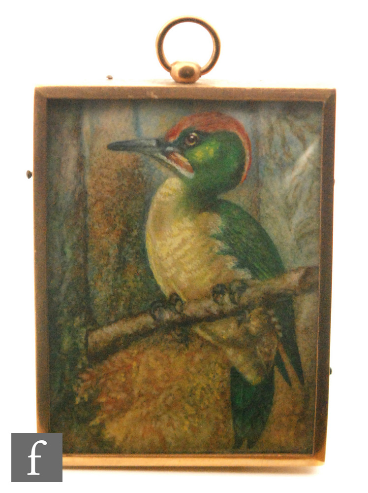 ENGLISH SCHOOL (EARLY 20TH CENTURY) - A green woodpecker, miniature on ivorine, framed,