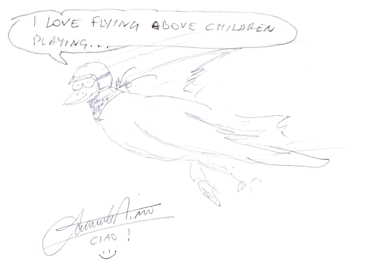 Emanuele Pirro - 'I love flying above children playing', pencil, 14.8cm x 21cm. Framed and glazed.