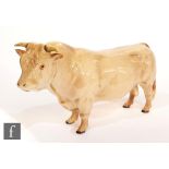 A Beswick Charolais Bull, model 2463A, designed by Alan Maslankowski in the colour cream gloss,