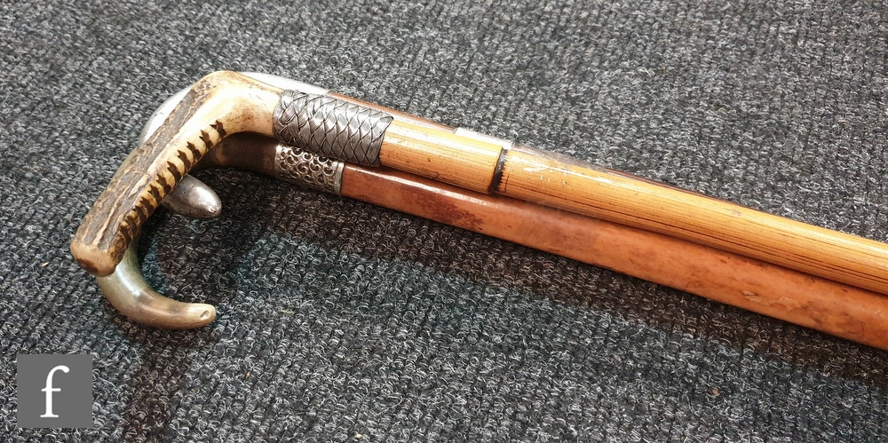 Two silver banded horn walking sticks and a similar silver handled example. (3)