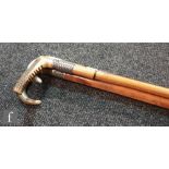 Two silver banded horn walking sticks and a similar silver handled example. (3)
