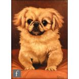 HEINCZ (EARLY 20TH CENTURY) - Study of a Pekingese puppy, oil on board, signed, framed, 16.5cm x