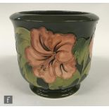 A small Moorcroft Hibiscus pattern jardiniere decorated with coral flowers against a green ground,