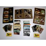 Post Cards: Three Albums of Post Cards, mostly unused, and mainly of Horses & Dogs,