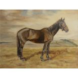 20th Century English School "Portrait of a Chestnut Horse (The Cobbler)," O.O.B., approx.