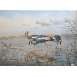 J.C. Harrison, American (1898-1985) Watercolour, "Crowned Cranes on the Natal Coast," approx.