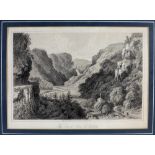 Print: Co. Wicklow: "The Devils Glen, Co. Wicklow," a coloured lithograph published by Newman & Co.