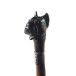 A Victorian period Novelty carved wooden Walking Stick,