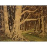 Mabel Young (R.H.A) 1889-1974 "Wooded Landscape," O.O.B., approx.