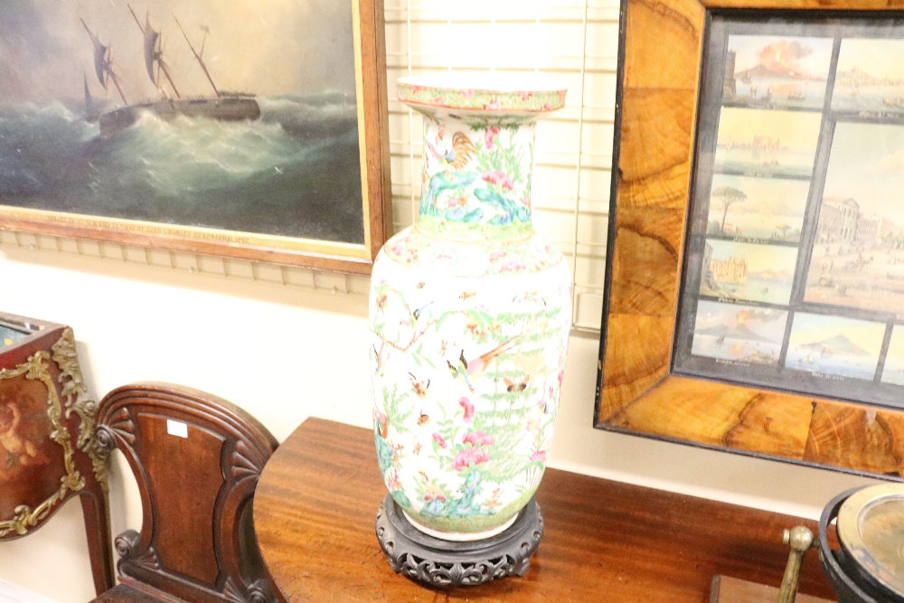 A pair of 19th Century attractive and large Cantonese Vases, decorated with insects, - Image 6 of 8