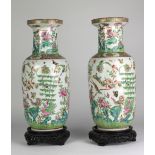 A pair of 19th Century attractive and large Cantonese Vases, decorated with insects,